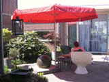 tuin1