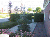 tuin2